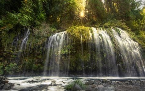 Waterfall River Stream With Stones And Foliage Green Trees With Sunbeam