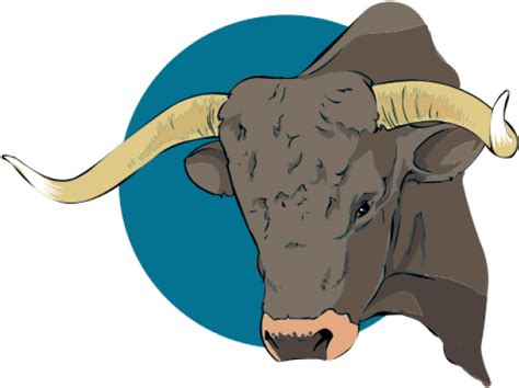 Bull Clipart Bull Head Free Transparent Png Download Pngkey