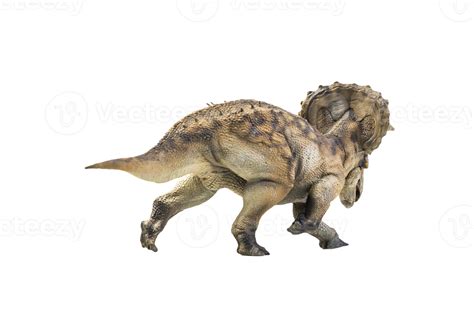 Dinosaur Triceratops On Isolated Background 13811396 Png