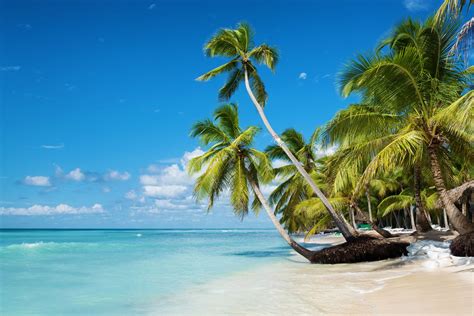Top 5 Most Beautiful Caribbean Destinations Saona Island Caribbean