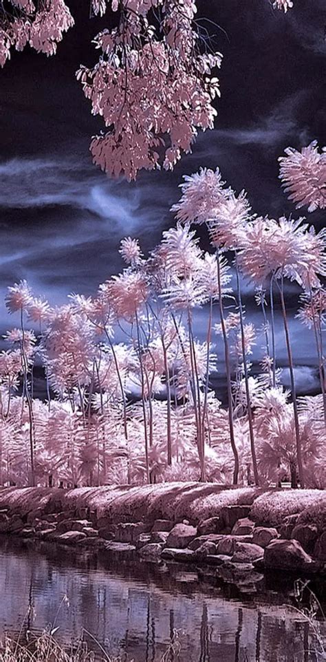 Beautiful Nature Wallpaper By Dashti33 Download On Zedge 73e2