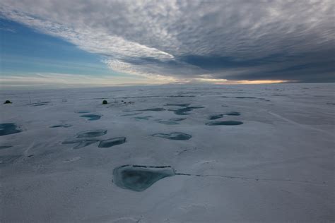 Acidification Of Arctic Ocean May Threaten Marine Life