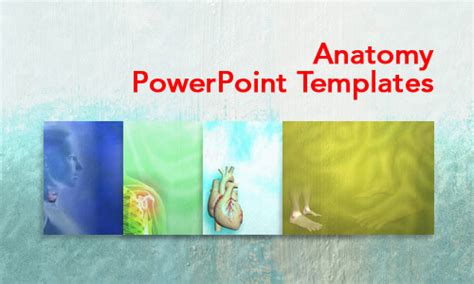 Anatomy Medicine Powerpoint Templates