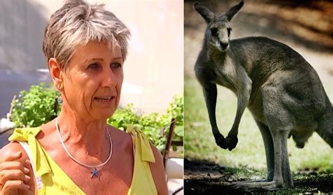Queensland Woman Hospitalised After Hangry Kangaroo Attack In Her Garden New Idea Magazine