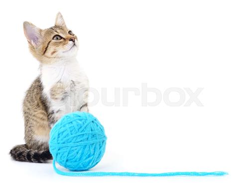 Cat With Ball Of Yarn Stock Image Colourbox