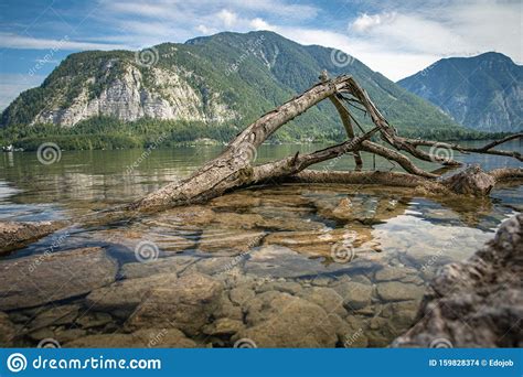 Mountain Lake In Austrian Alps Beautiful View Of The Water Surface And