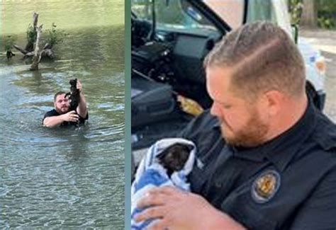 Animal Cop Jumps Into Water To Save Kitten