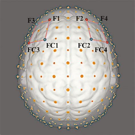 Cortical Maps Of Fnirs Montage The Location Of Nirs Near Infrared