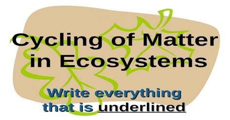 Cycling Of Matter In Ecosystems Write Everything That Is Underlined