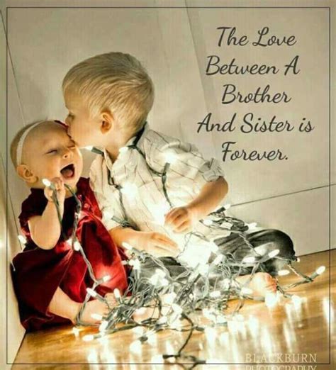 the love between a brother and sister is forever brother sister quotes funny brother