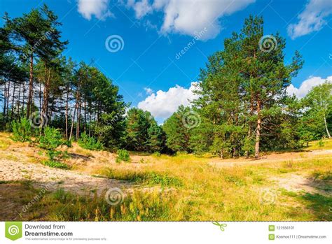 Beautiful Summer Landscape View Of The Fields Stock Image Image Of