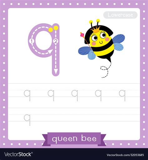 Letter Q Lowercase Tracing Practice Worksheet Of Vector Image