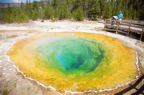 Morning Glory Pool Yellowstone National Park Usa