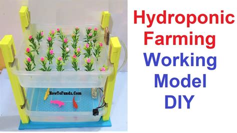Hydroponic Farming Working Model Science Project Vertical