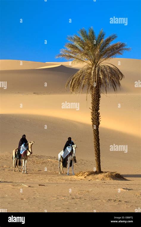 Tuaregs Riding Camels Libyan Arab Jamahiriya Libyan Desert Stock