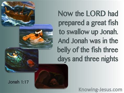 17 Bible Verses About Fishes