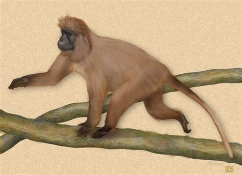 Meet The Planets 25 Most Endangered Primates