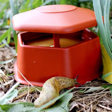 Portable Slug And Snail Trap Organic Gardening Catalogue