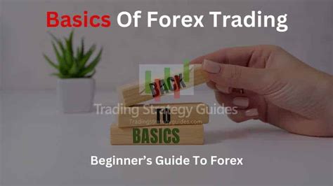 The Basics Of Forex Trading Beginners Guide To Forex
