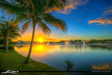 Downtown Gardens Lake Victoria Coconut Tree Sunset Hdr Photography By