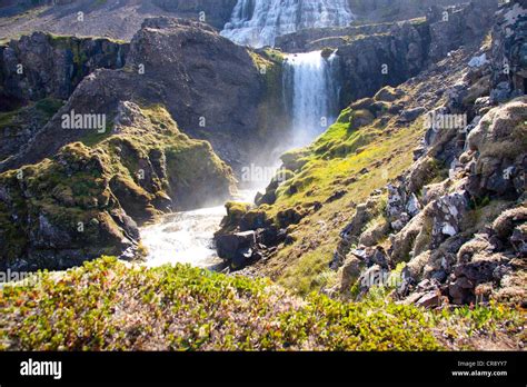 Iceland Big Beauty Rapid Water In Waterfall Dynjandi Stock Photo Alamy