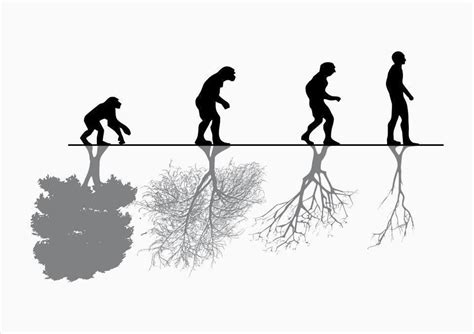 Evolucion Evolucion Y Microevolucion