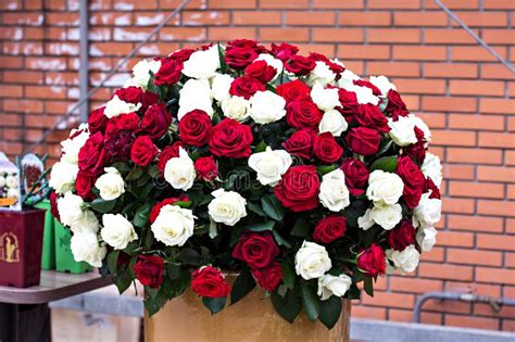 Rosa fiorisce il cuore sopra bianco. Foto Stock e immagini a tema Mazzo Enorme Di Rose - Scarica 604 foto
