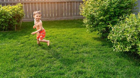 Tips To Grow The Greenest Grass
