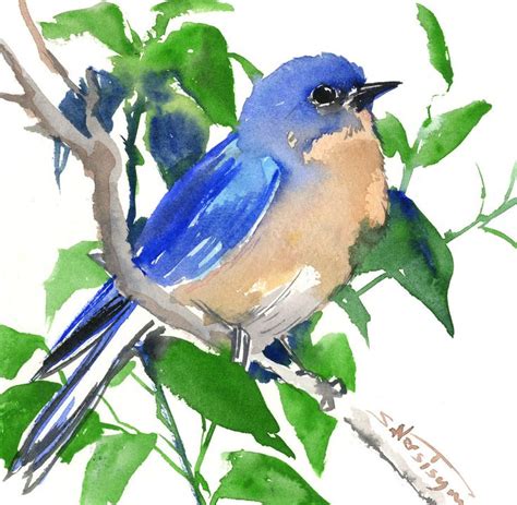 Bluebird Artwork Bluebird Art Bird Art Original Painting Blue Bird