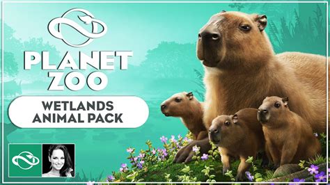 Planet Zoo Wetlands Animal Pack Announcement Trailer Youtube