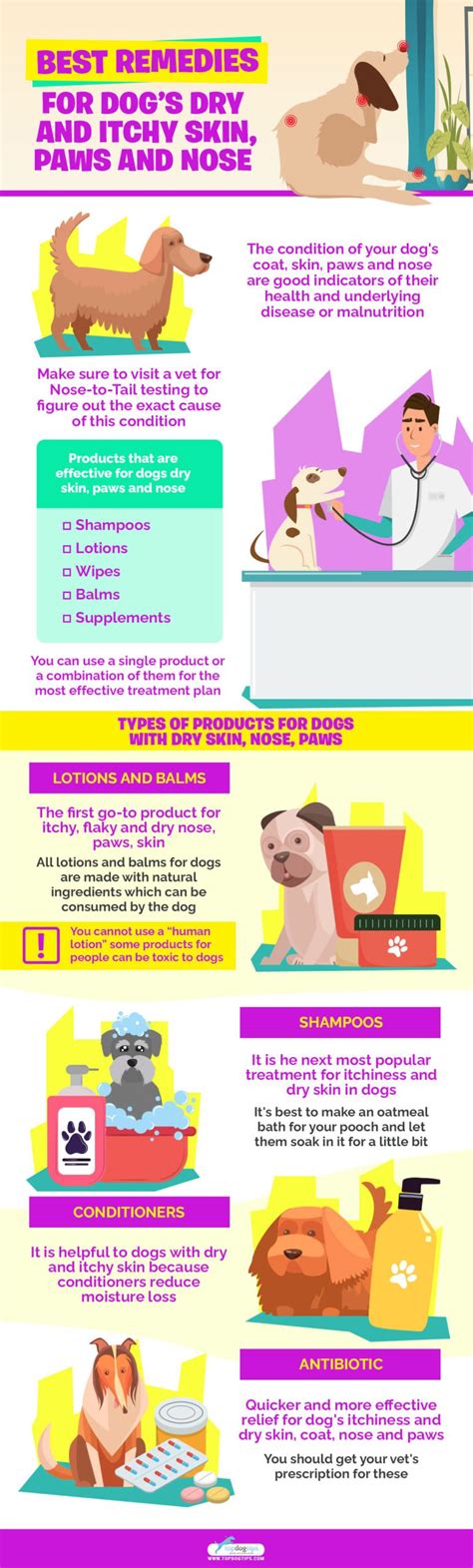 5 Best Remedies For Dogs Dry Skin In 2020 Nose Paws Coat And Body