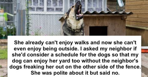 Dog Owner With Reactive Dog Gets Shut Down By Neighbor For Suggesting