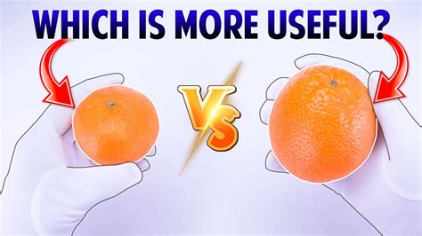 Tangerine Vs Orange Comparison Which Is More Useful Tangerine Or