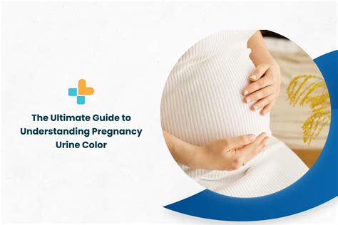 The Ultimate Guide To Understanding Pregnancy Urine Color Ayu Health