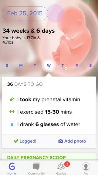 Glow Gives Life To Pregnancy App Glow Nurture Techcrunch
