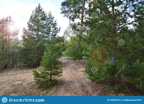 Lake Water Landscape Sky Nature Forest River Reflection Tree