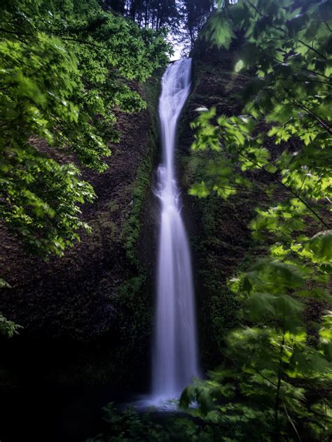 10 Hikes To Waterfalls Near Portland—that Are Open Now