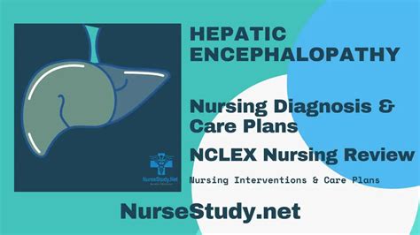Hepatic Encephalopathy Nursing Diagnosis And Nursing Care Plan My Xxx
