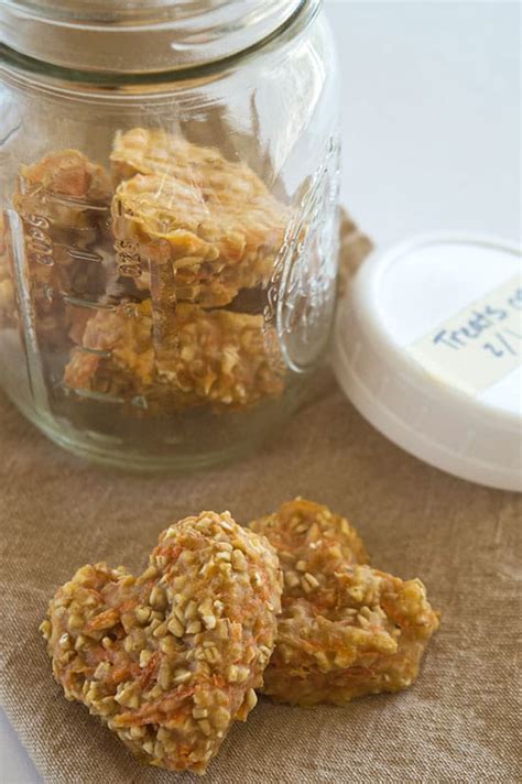 Carrot Oat Applesauce Treats For Dogs And Horses