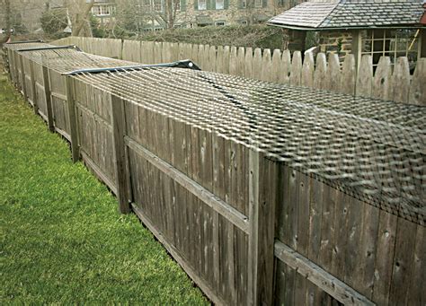 Awasome How To Build A Cat Proof Fence Ideas
