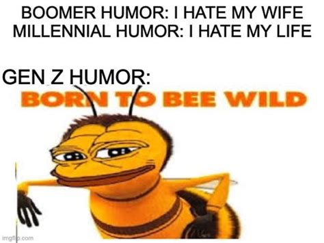 Bee Wild Zoomer Humor Know Your Meme