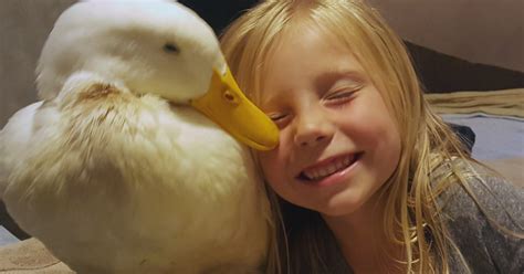 Girl Forms Unbreakable Bond With Her Pet Duck Cbs News