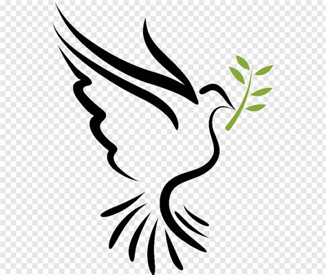 Bible Doves As Symbols Holy Spirit Columbidae Holy Spirit