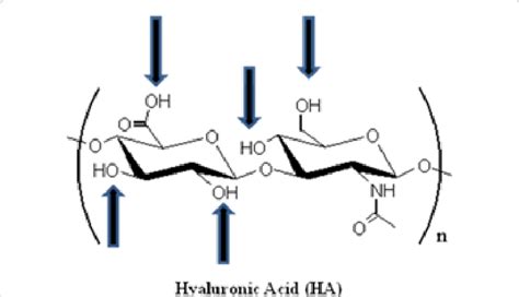 Spatial Structure Of Hyaluronic Acid HA HA Is Composed Of