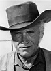 Robert j wilke.--another great actor w/o whom tv westerns couldn't have ...