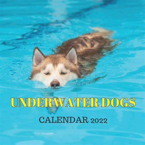 Underwater Dogs Calendar 2022 Monthly Planner From July 2021 To