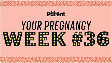 your pregnancy 36 weeks youtube