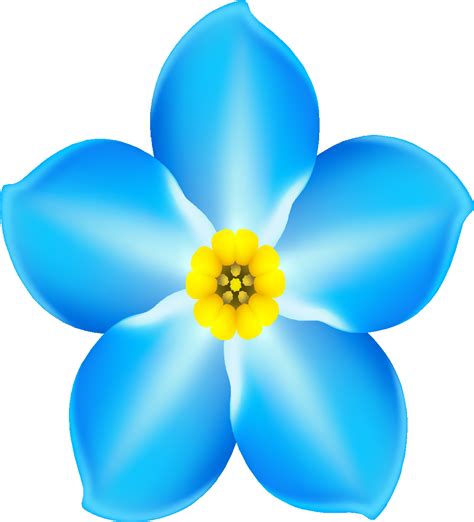 Forget Me Not Cafe Clip Art Forget Me Not Dementia Png Download