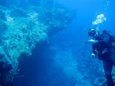 Grand Cayman Dive Flickr