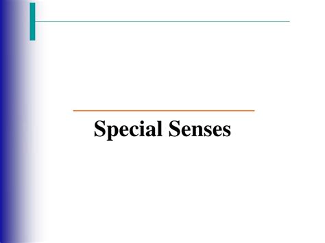 Ppt Special Senses Powerpoint Presentation Free Download Id6059624